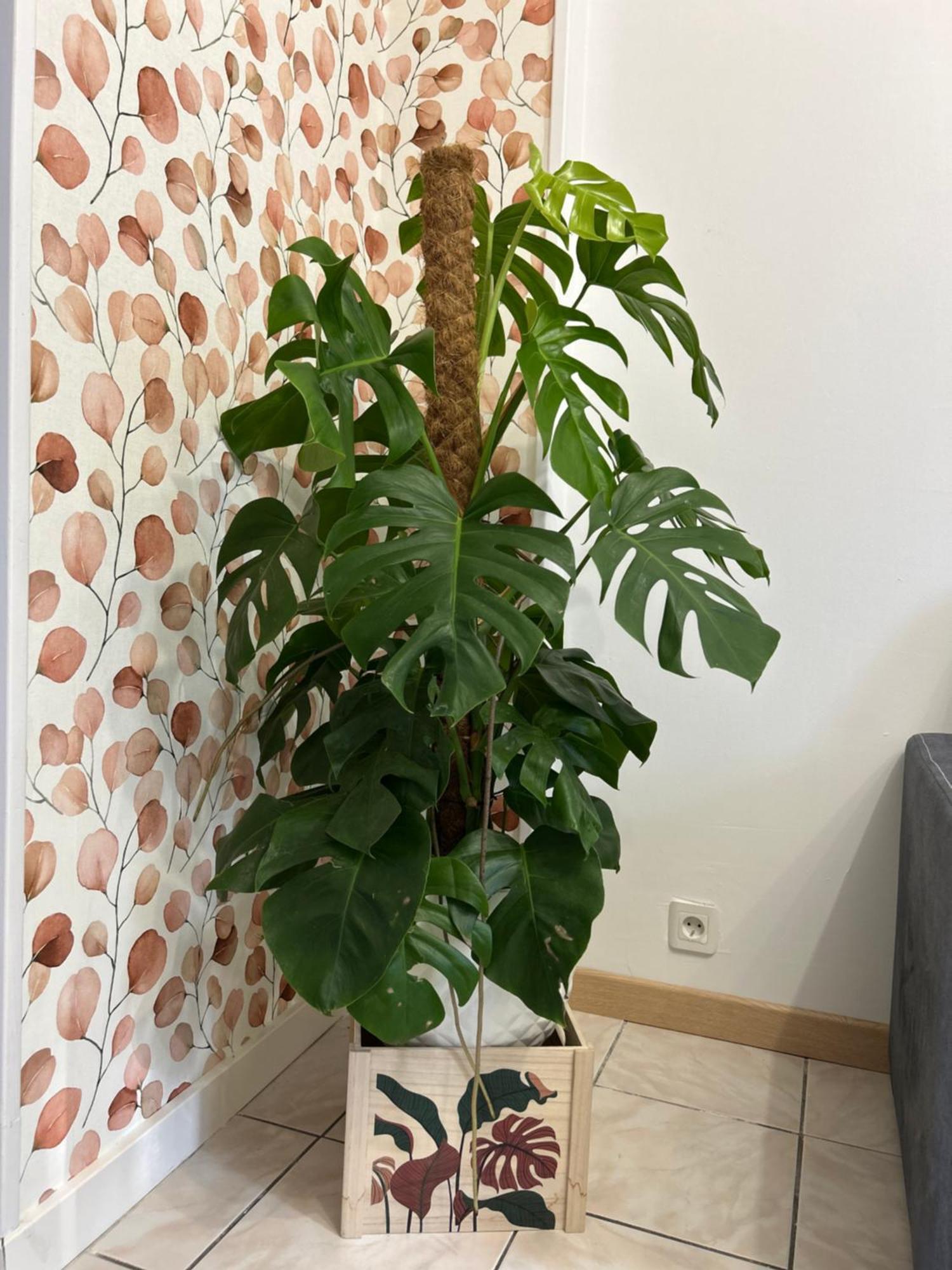 Home Lyla Dijon Dış mekan fotoğraf